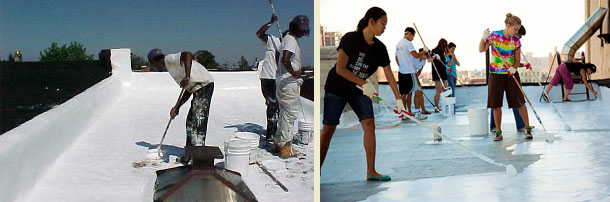 greenpeace_white_