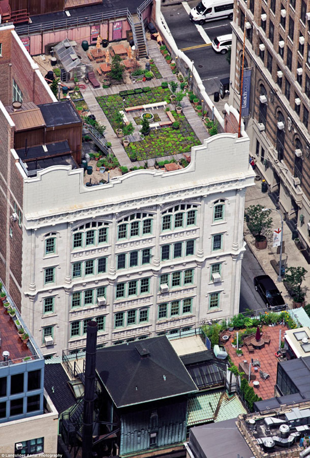 The-School-of-the-Future-building-at-127-East-22nd-Street
