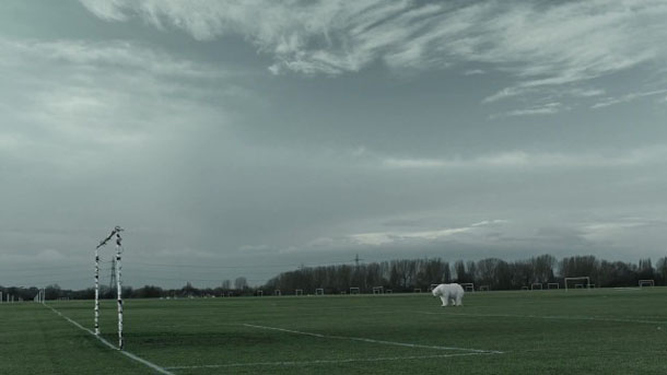 Greenpeace-Homeless-Polar-Bear2-640x360