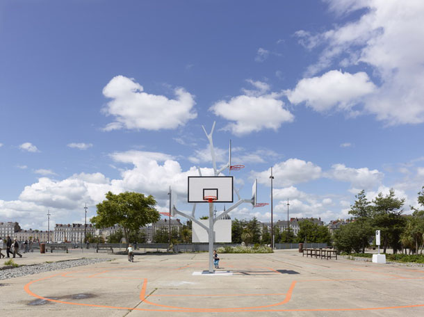 'arbre à basket
