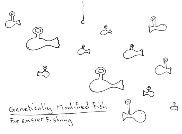 2 - dominic_wilcox_egg