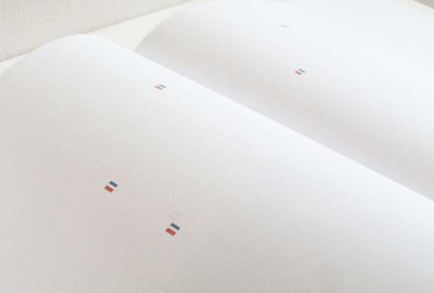 vmvv_mg_2_detalj_2