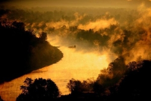 31ba263b957f4957cf9258335cdf6e68_large