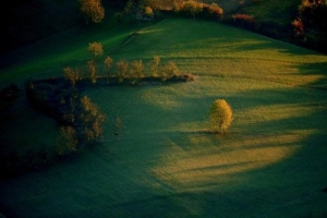 663cf5a5d72490332c1dad811c608453_large