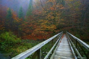 9ebfddb9d1f628741107df186c5bcc39_large