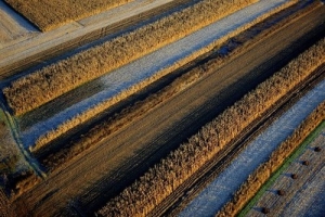 a1964322b1bf580cdbfcc20e9ccc11ed_large