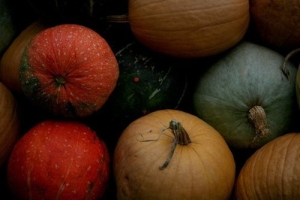 b526ee96a9ce8c2b17e0454cc1e34cf3_large