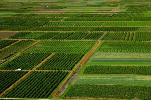 c3d5c846a9c75f490e584ffde0337235_large