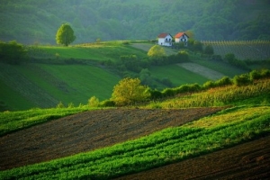 d57d2802824dc39e3cba028d238dd960_large