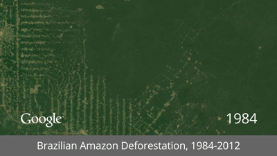 Brazilian+Amazon+Deforestation