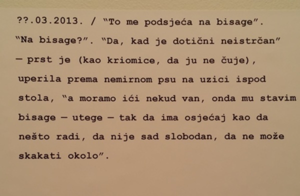 Mucko - razgovor s vlasnikom psa