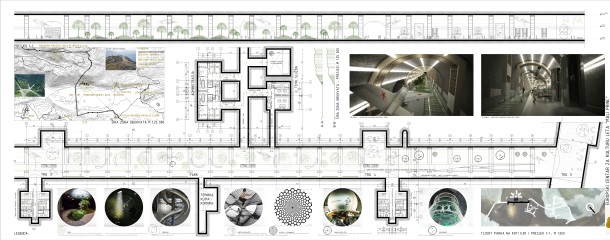 02 Mudronja Pletenac