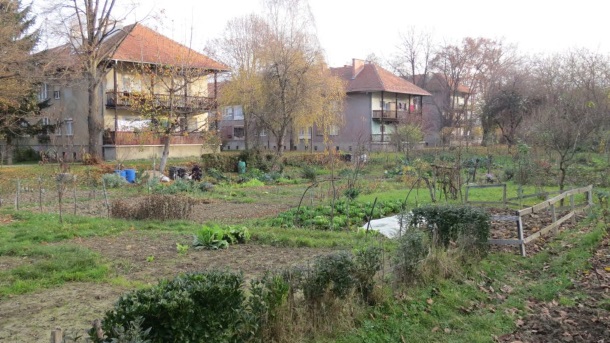 Zbornik-Pupinovo1