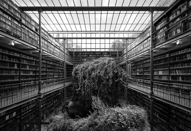 museum library 2014